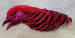 Golden Pheasant Head Dyed