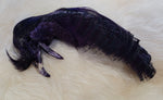 Golden Pheasant Head Dyed