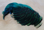 Golden Pheasant Head Dyed