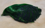 Golden Pheasant Head Dyed