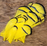 Lady Amherst Tippet Feathers