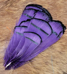 Lady Amherst Tippet Feathers