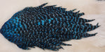 Hen Saddle