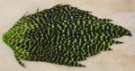 Hen Saddle