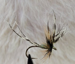 Mayfly