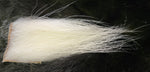 White Polar Bear