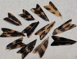 Natural Feather Caddis Wings
