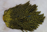 Hen Saddle