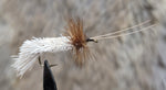 Goddard Caddis