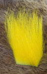Dyed Polar Bear