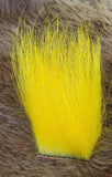 Dyed Polar Bear