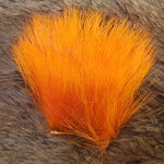 Dyed Polar Bear