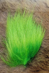Dyed Polar Bear