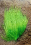 Dyed Polar Bear