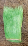 Dyed Polar Bear