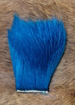 Dyed Polar Bear