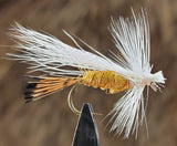 Golden Caddis