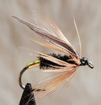 Leadwing Coachman