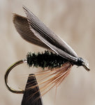 Leadwing Coachman