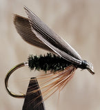 Leadwing Coachman