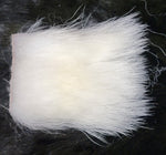 White Polar Bear