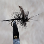 Mayfly