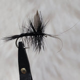 Mayfly
