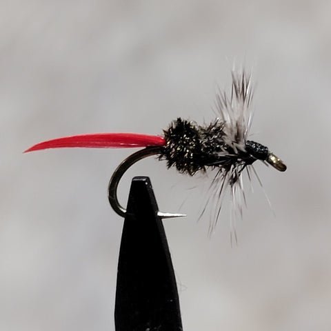 Grey Hackle Peacock