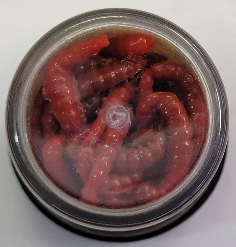 PowerBait® Power® Honey Worm – Hunted Treasures