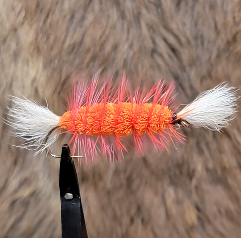Salmon Bomber - White Tail, Orange Body with Orange Hackle