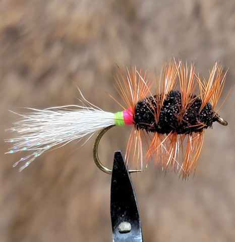 Shady Lady with Brown Hackle Salmon Bug