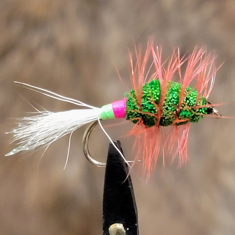 Modified Shady Lady with Orange Hackle Salmon Bug