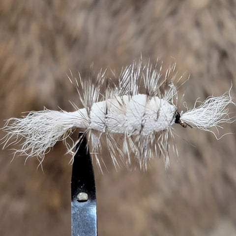 White Tail, White Body, Grizzly Hackle Salmon Bomber