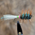 Modified Shady Lady with Brown Hackle Salmon Bug