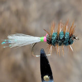Modified Shady Lady with Brown Hackle Salmon Bug