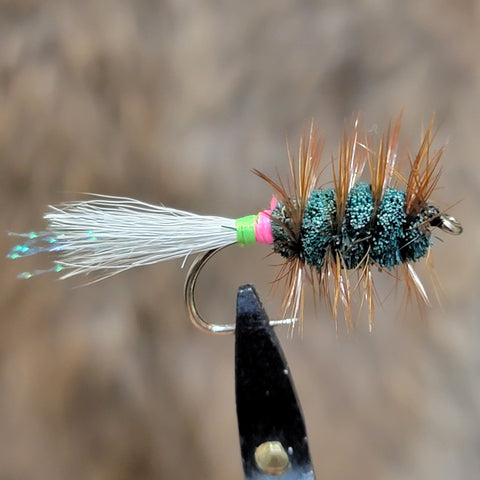 Modified Shady Lady with Brown Hackle Salmon Bug