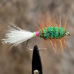 Modified Shady Lady with Brown Hackle Salmon Bug