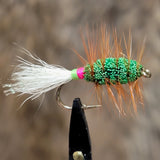 Modified Shady Lady with Brown Hackle Salmon Bug