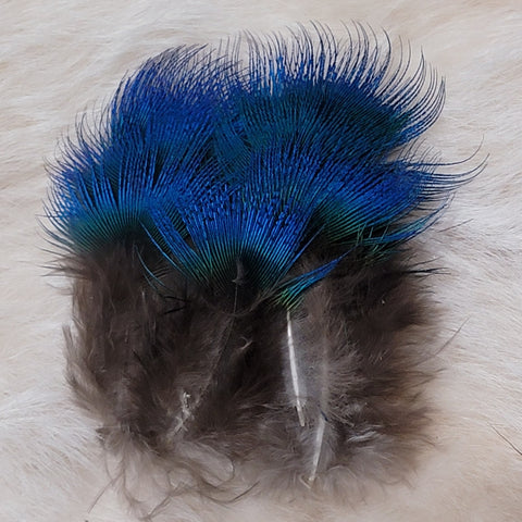 Peacock Blue Neck