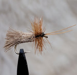 Goddard Caddis