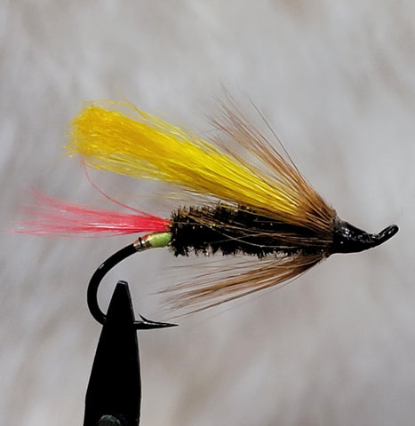 Yellow Wing Salmon Butterfly