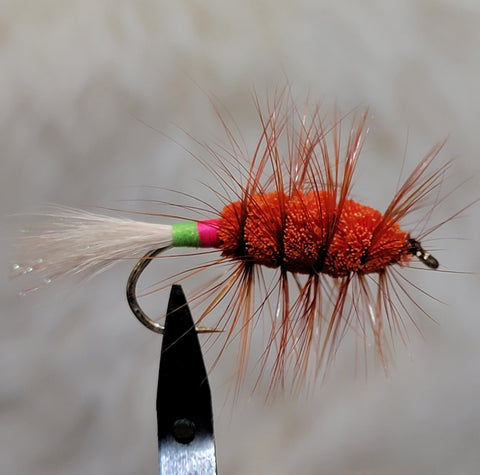 Buggy Lady with Brown Hackle Salmon Bug
