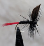 Red Tail Black Gnat
