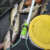 FISH-i
