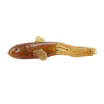 3D Goby Tube