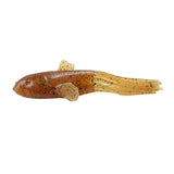 3D Goby Tube