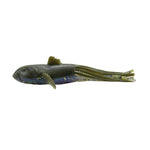 3D Goby Tube