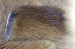 Muskrat