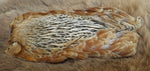 Indian Hen Neck