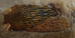 Indian Hen Neck